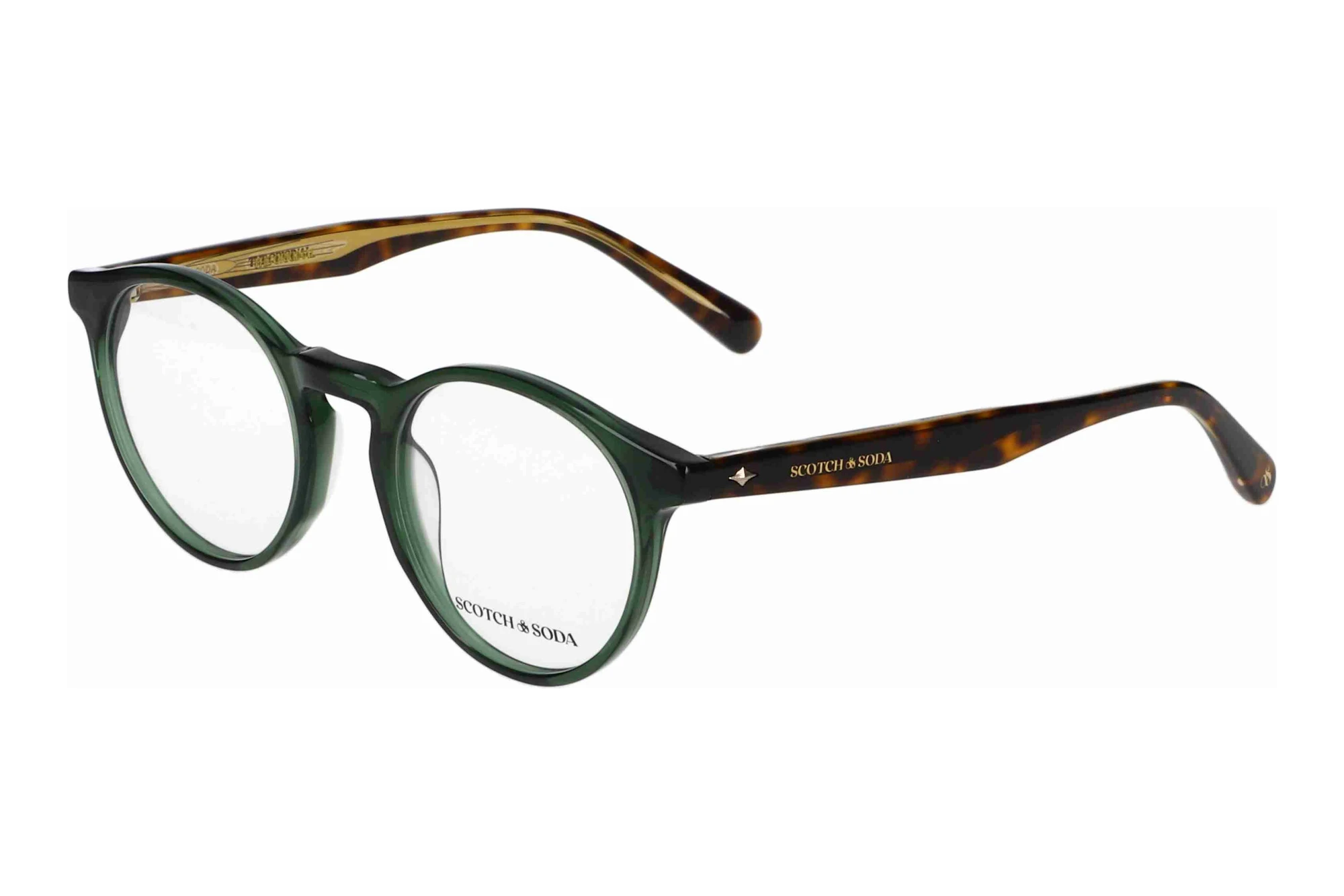 Scotch and Soda 504034 594 Grün Scotch and Soda 504034 594 Grün