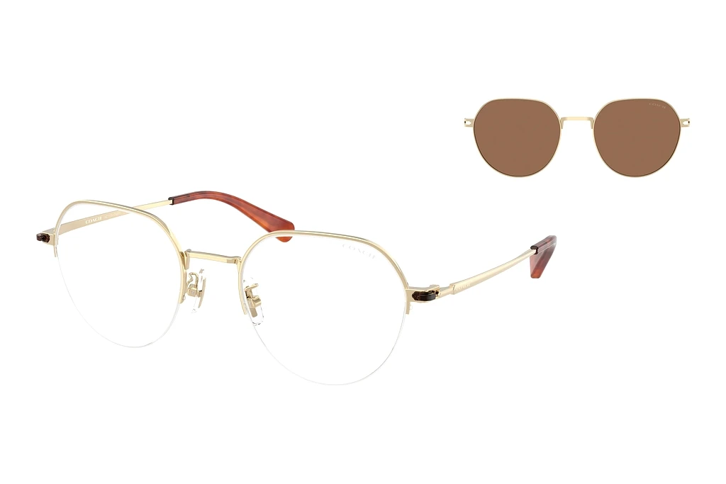 Coach HC7179 900573 Brown SolidShiny Light Gold Coach HC7179 900573 Brown SolidShiny Light Gold