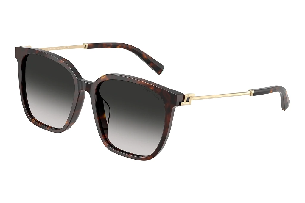 Tiffany TF4244D 80153C Grey GradientHavana Tiffany TF4244D 80153C Grey GradientHavana