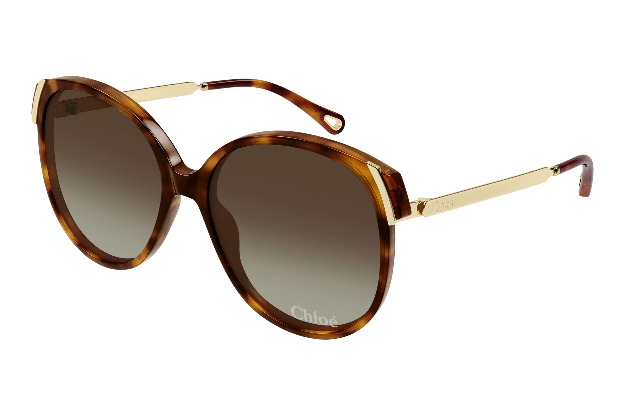 Chloé CH0285S 002 HAVANA Chloé CH0285S 002 HAVANA