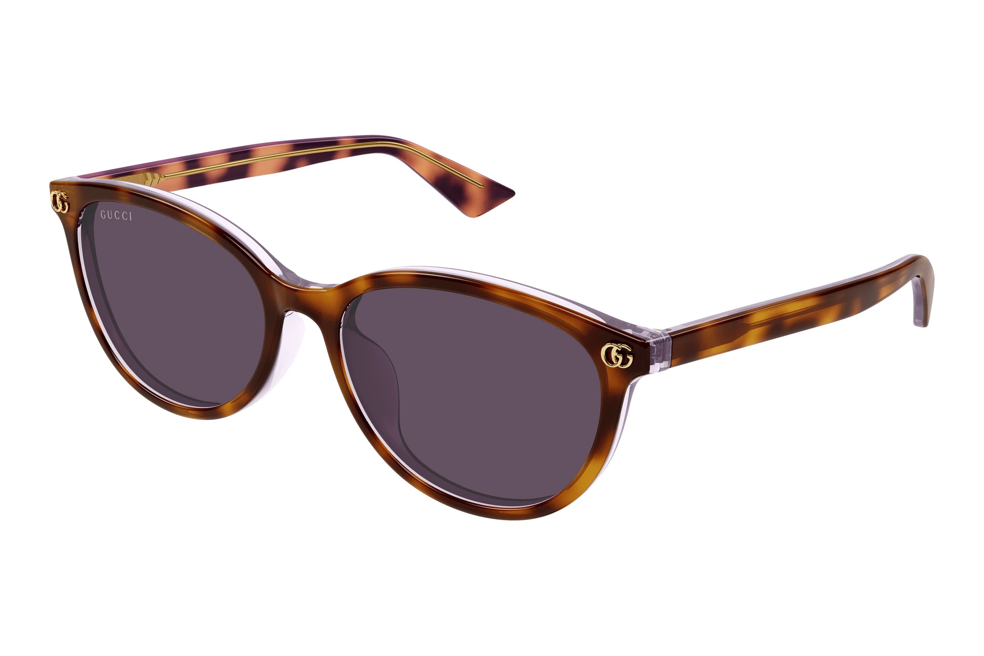 Gucci GG1818SK 004 HAVANA Gucci GG1818SK 004 HAVANA