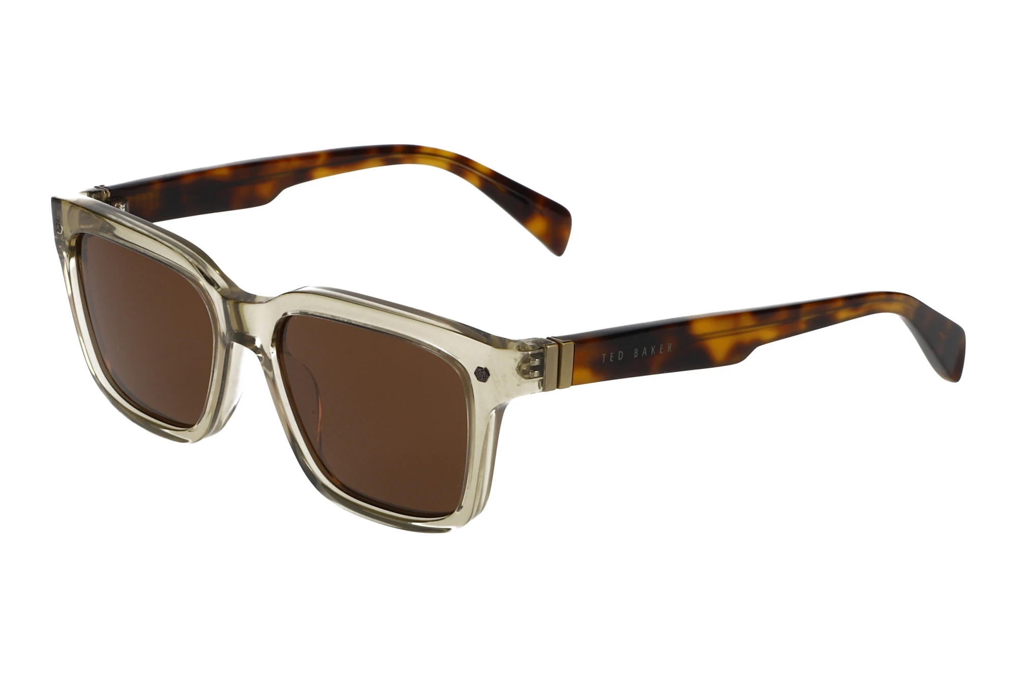 Ted Baker 391696 139 Braun Ted Baker 391696 139 Braun