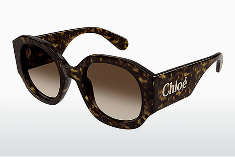 Okulary przeciwsłoneczne Chloé CH0234SK 002