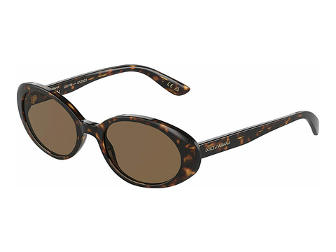 Okulary przeciwsłoneczne Dolce & Gabbana DG4443 502/73