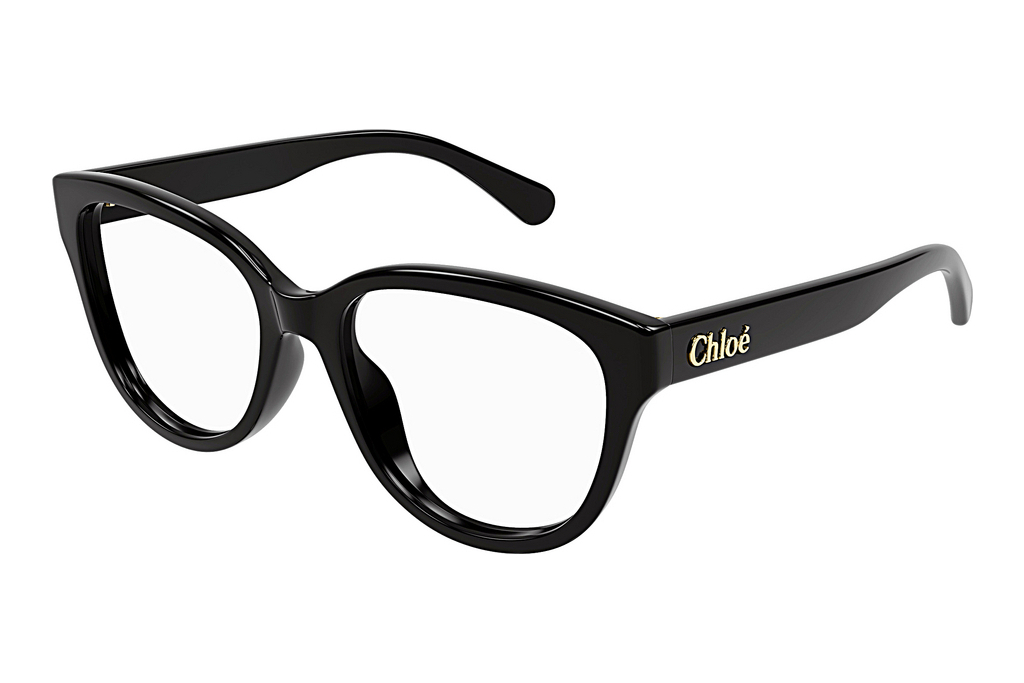 Chloé   CH0243O 001 BLACK