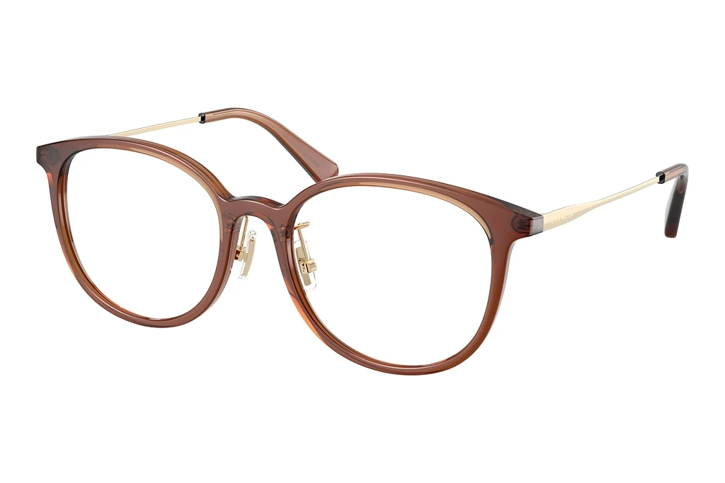 Coach   HC6160D 5847 Transparent Brown