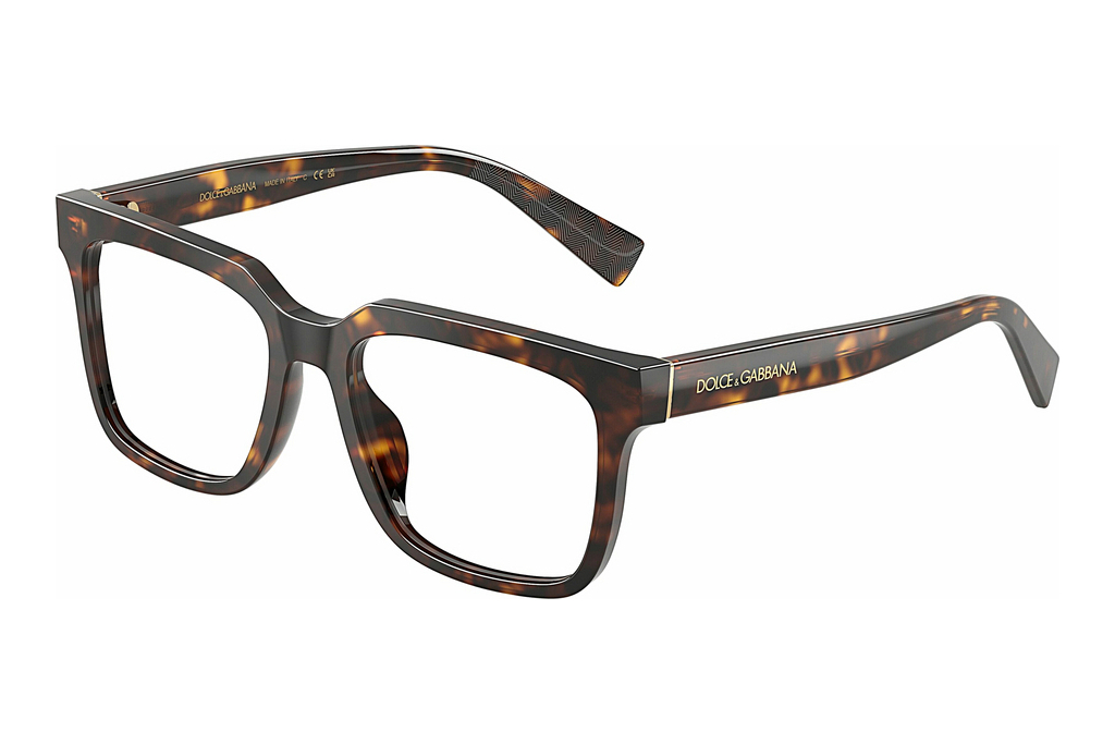 Dolce & Gabbana   DG3422 502 Havana