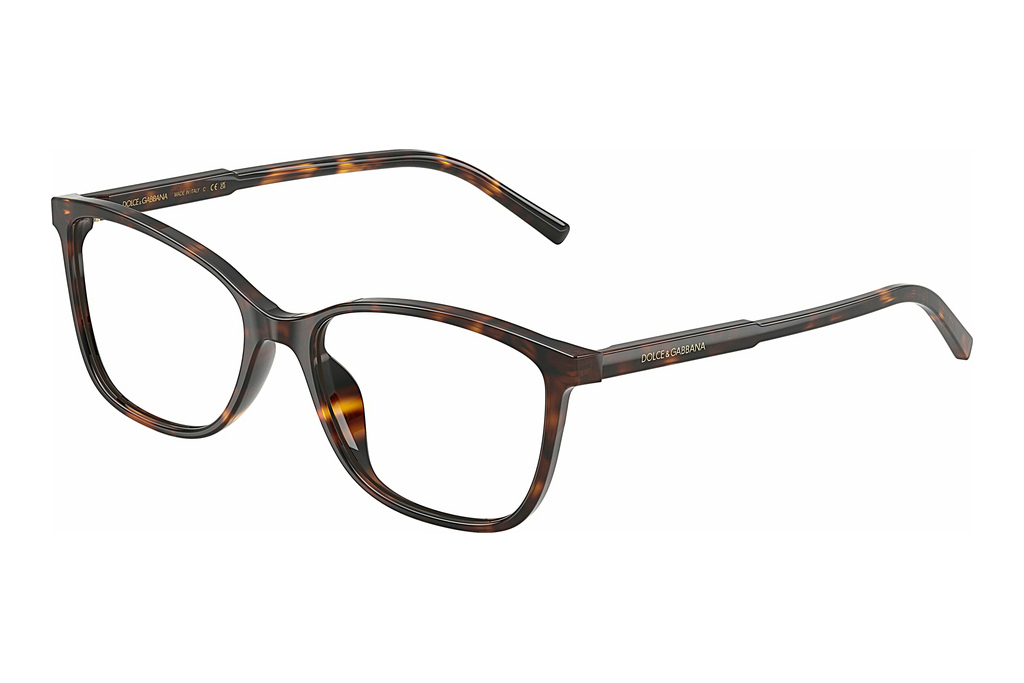 Dolce & Gabbana   DG3424 502 Havana