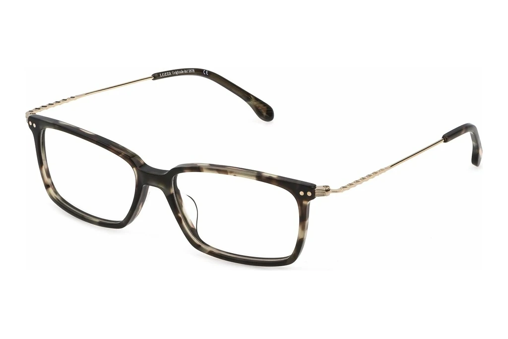 Lozza   VL4266 092I SHINY GREEN HAVANA