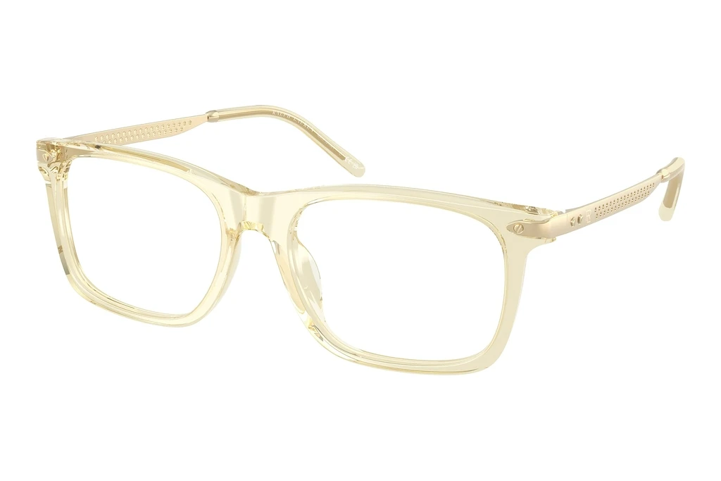 Ralph Lauren   RL6253U 5034 Transparent Yellow