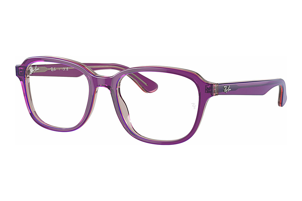 Ray-Ban Kids   RY1627 3944 Top Purple & Pink & Beige