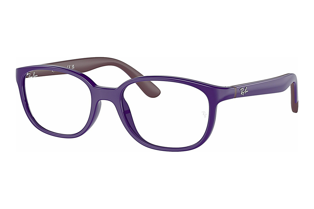 Ray-Ban Kids   RY1632 3962 Violet On Bordeaux