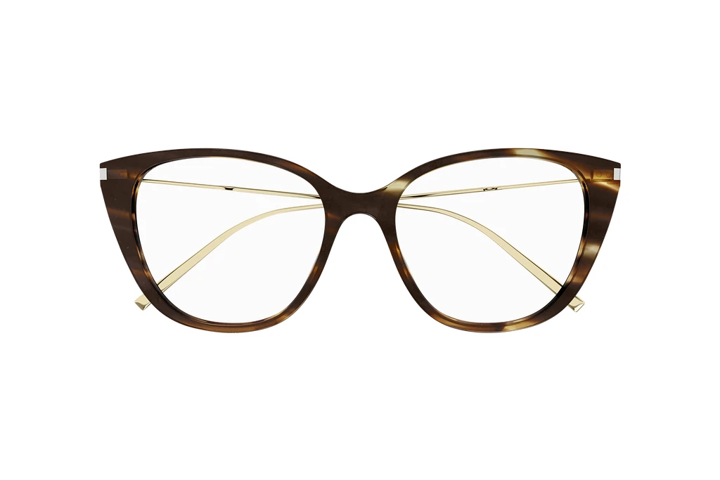 Widok z przodu Saint Laurent SL 627 (004)