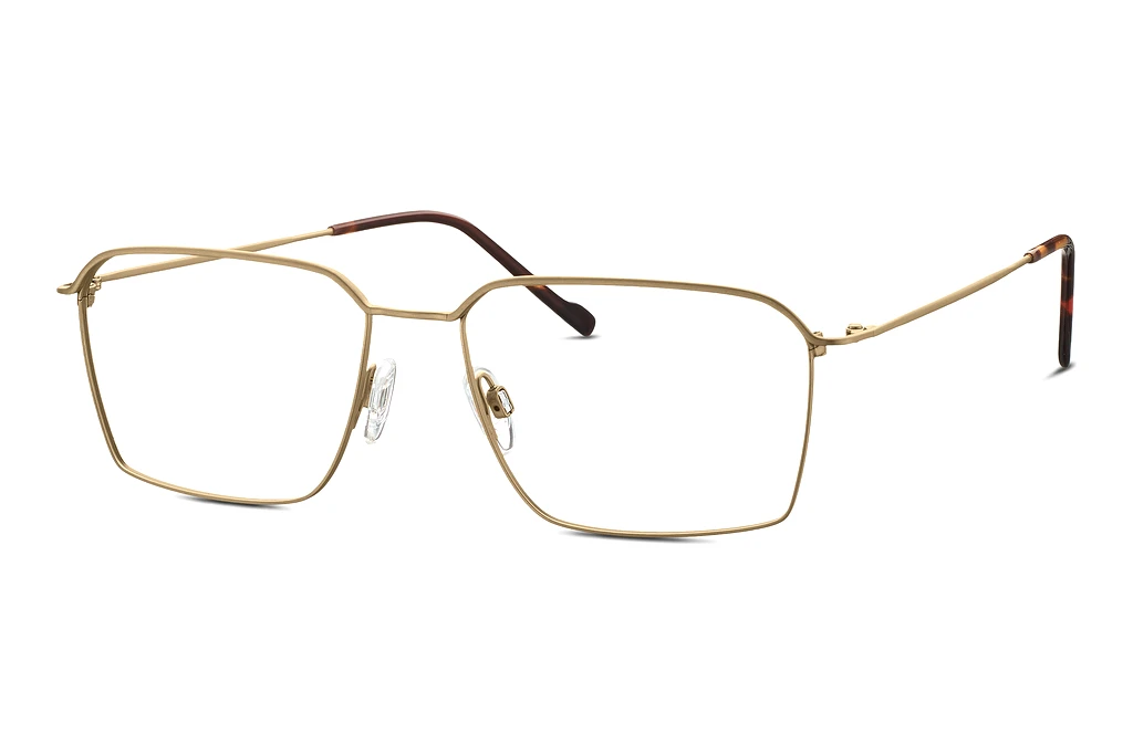 TITANFLEX   EBT 820927 20 gold