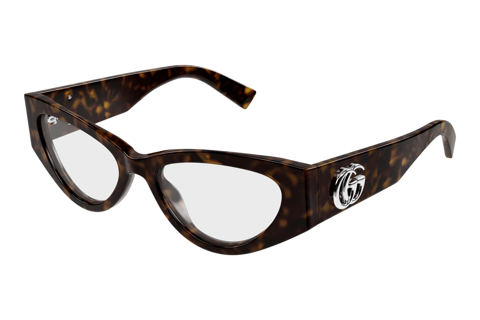 Gucci   GG1953O 002 HAVANA