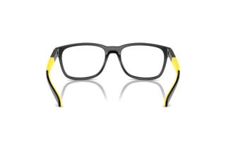 Widok z tyłu Arnette ORIBEE (AN7240U - 2904)