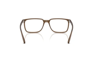 Widok z tyłu Arnette JECKO (AN7280 - 2997)