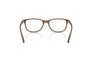 Widok z tyłu Arnette CRUMBLE (AN7281 - 2997)