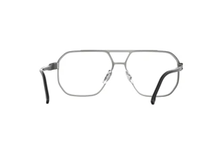 Widok z tyłu Carrera CARRERA 1135 (RZZ)