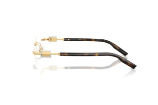 Widok z boku Dolce & Gabbana DG1361 (02)