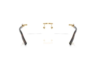 Widok z tyłu Dolce & Gabbana DG1361 (02)