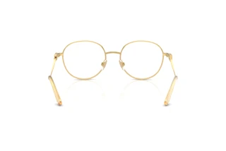 Widok z tyłu Dolce & Gabbana DG1365 (02)