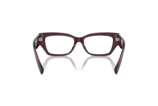 Widok z tyłu Dolce & Gabbana DG3387 (3045)