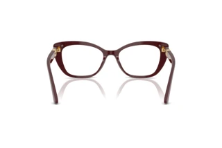 Widok z tyłu Dolce & Gabbana DG3398 (3091)