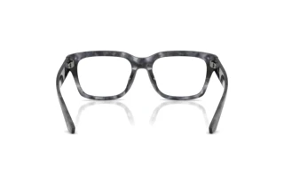 Widok z tyłu Dolce & Gabbana DG3416 (3445)