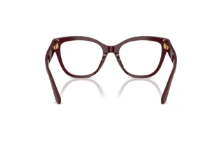Widok z tyłu Dolce & Gabbana DG3418 (3091)