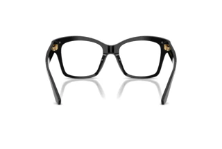 Widok z tyłu Dolce & Gabbana DG3419 (501)