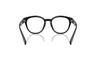 Widok z tyłu Dolce & Gabbana DG3421 (501)