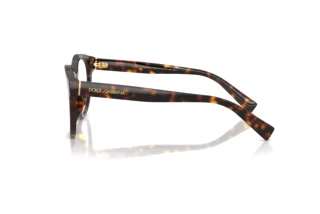 Widok z boku Dolce & Gabbana DG3421 (502)