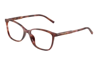 Widok z przodu Dolce & Gabbana DG3424 (3444)