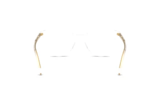 Widok z tyłu Dolce & Gabbana DG3425 (3133)