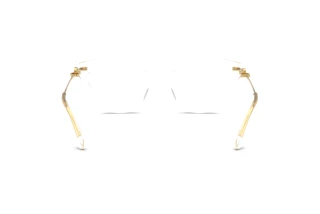 Widok z tyłu Dolce & Gabbana DG3428 (3133)