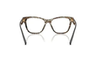 Widok z tyłu Dolce & Gabbana DG3430 (3299)
