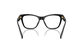 Widok z tyłu Dolce & Gabbana DG3430 (501)