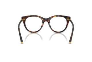 Widok z tyłu Dolce & Gabbana DG3433 (502)