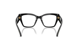 Widok z tyłu Dolce & Gabbana DG3435B (501)