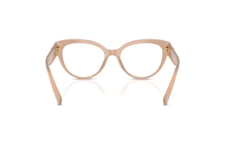 Widok z tyłu Dolce & Gabbana DG3440 (3042)