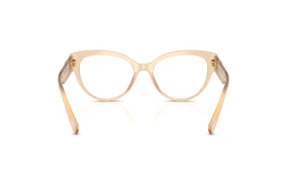 Widok z tyłu Dolce & Gabbana DG3440 (3089)