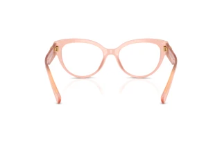 Widok z tyłu Dolce & Gabbana DG3440 (3384)