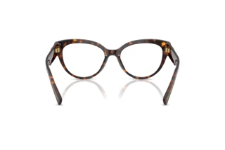 Widok z tyłu Dolce & Gabbana DG3440 (502)