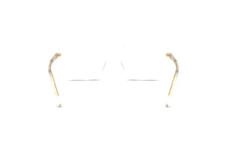 Widok z tyłu Dolce & Gabbana DG3442 (3133)