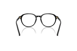 Widok z tyłu Dolce & Gabbana DG3444 (501)