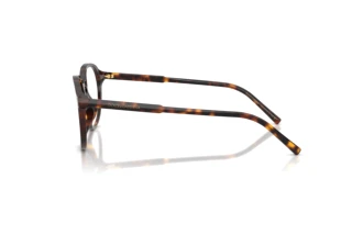 Widok z boku Dolce & Gabbana DG3444 (502)