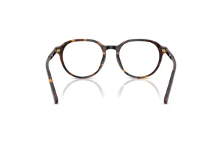 Widok z tyłu Dolce & Gabbana DG3444 (502)