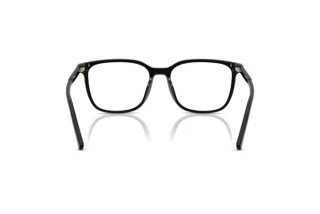 Widok z tyłu Dolce & Gabbana DG3445 (501)