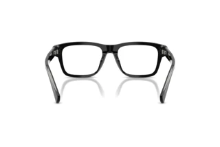 Widok z tyłu Dolce & Gabbana DG3446 (501)